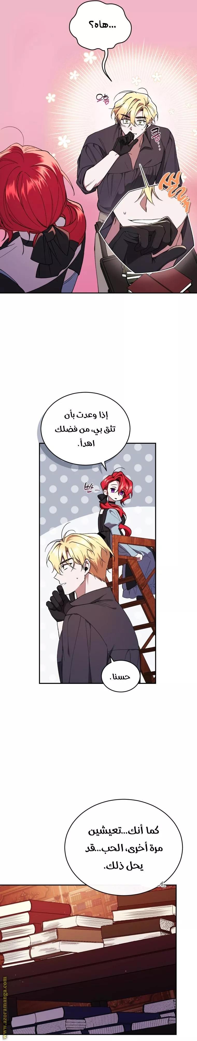 الصفحة 13