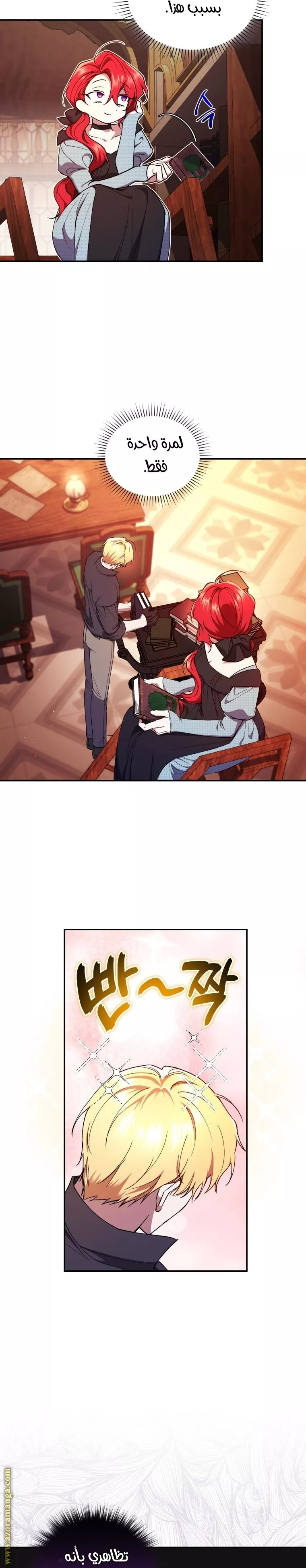 الصفحة 17