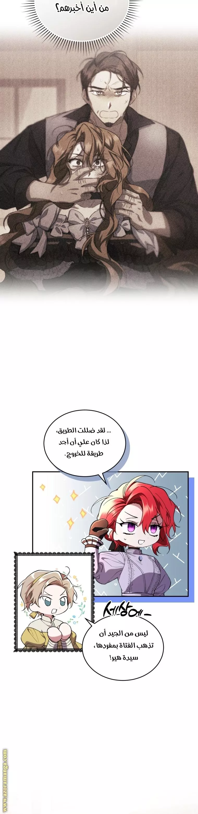 الصفحة 17