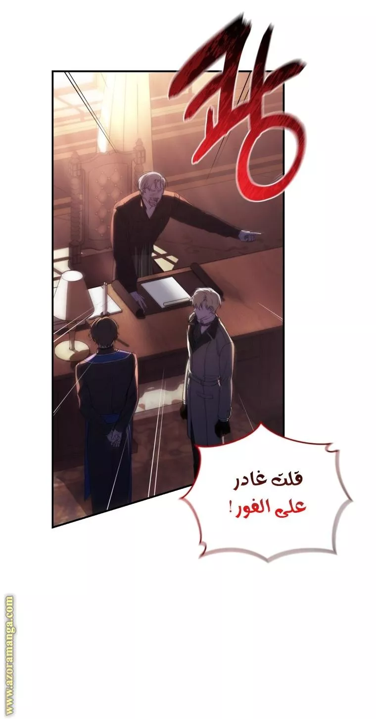 الصفحة 24