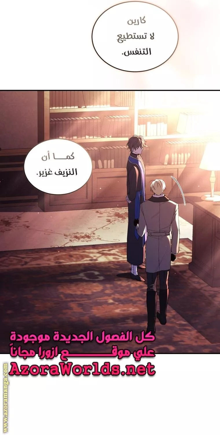 الصفحة 26