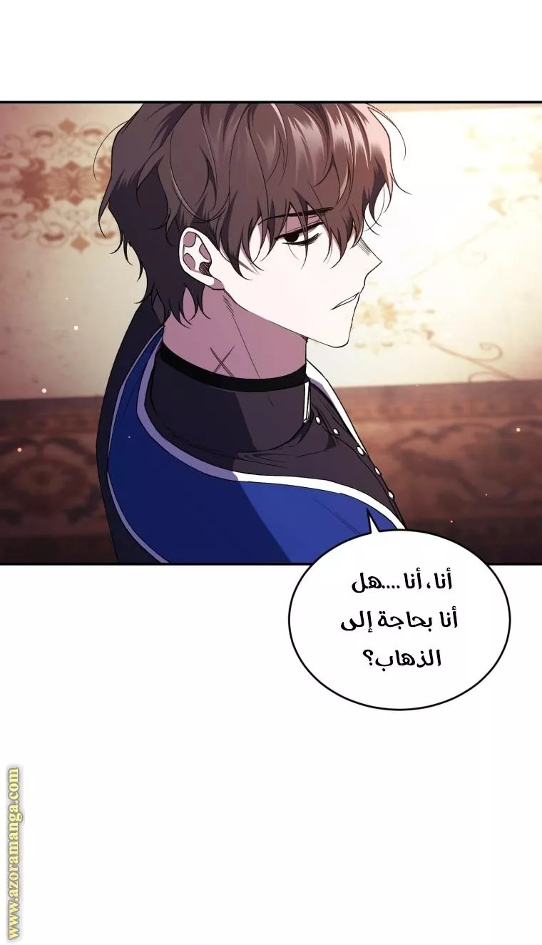 الصفحة 27
