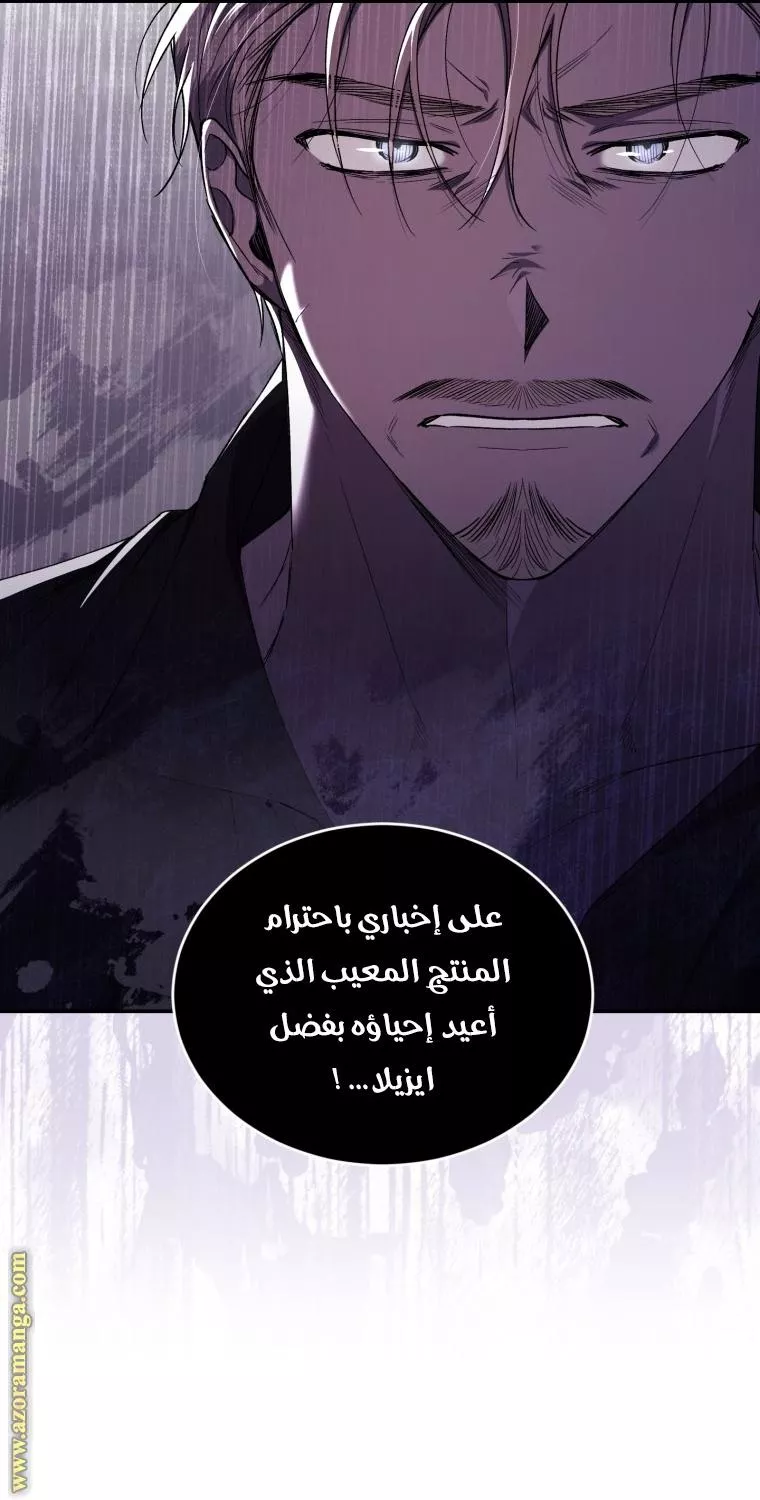 الصفحة 52