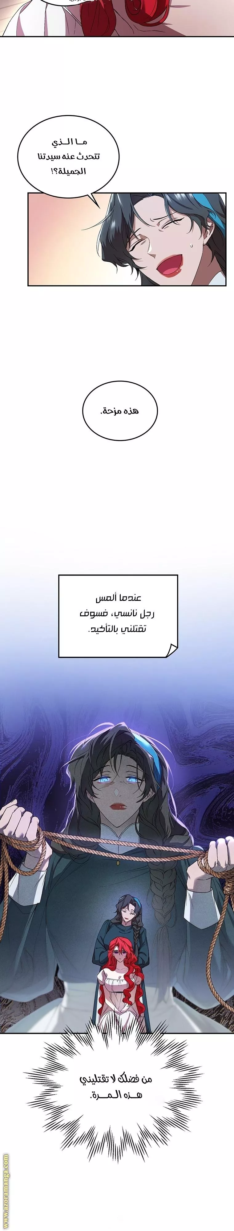 الصفحة 25