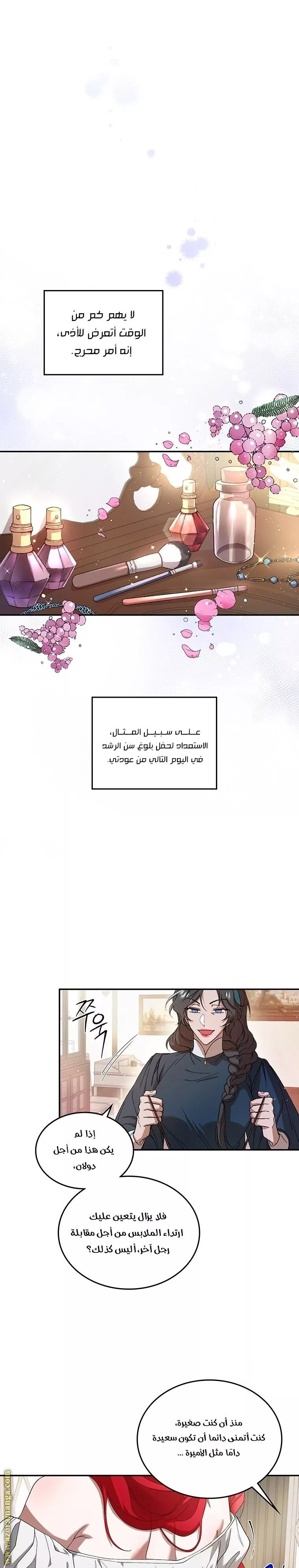 الصفحة 26
