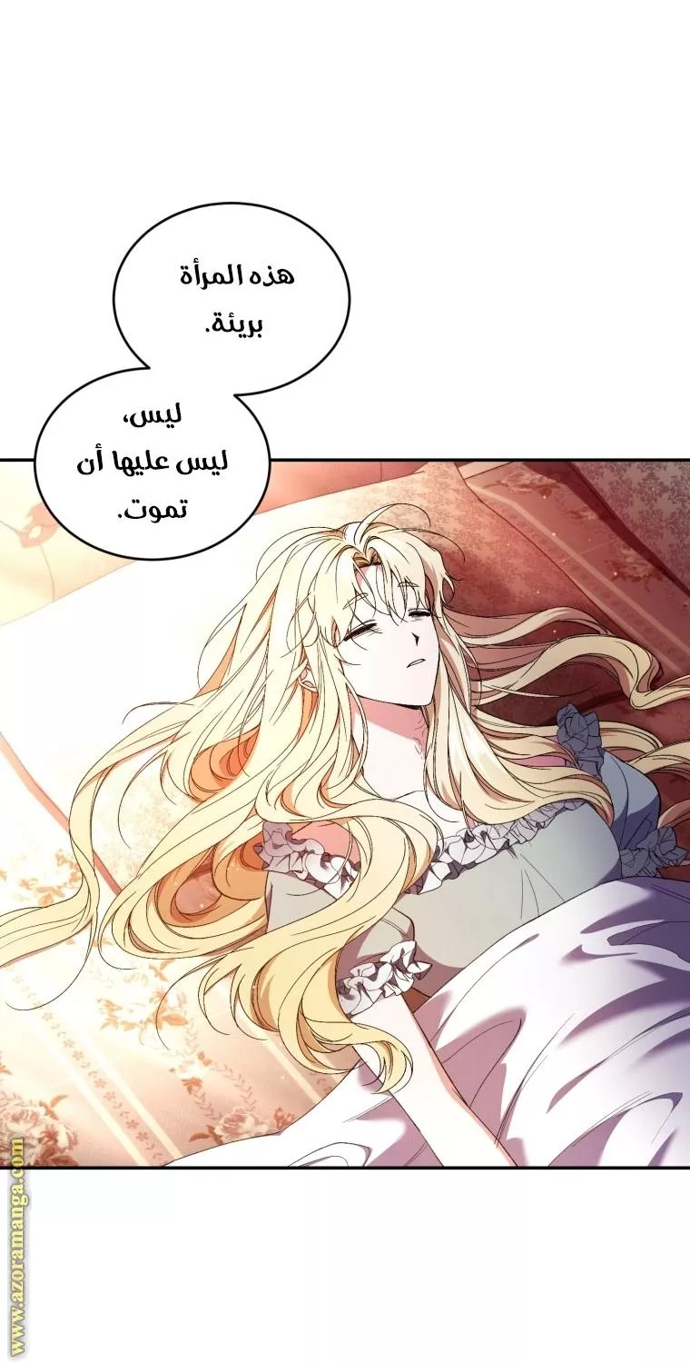 الصفحة 43