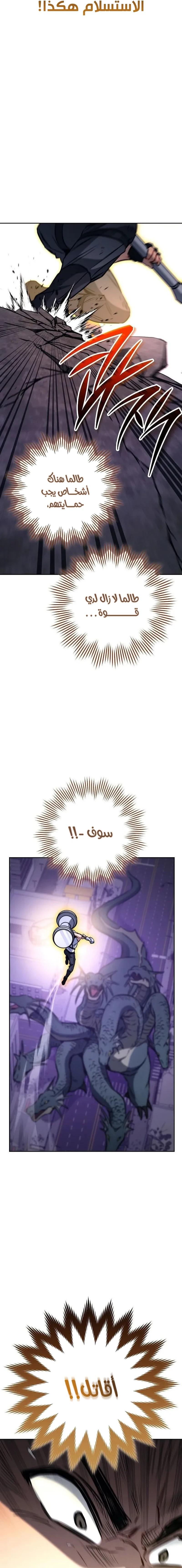 الصفحة 17