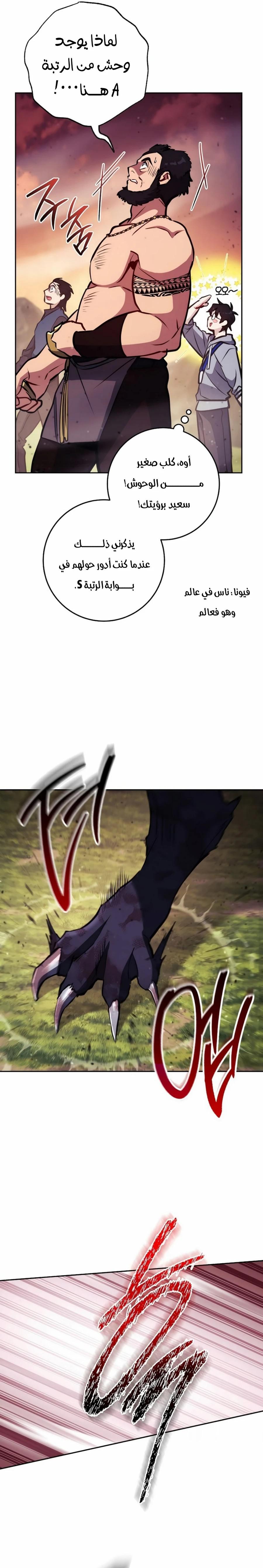 الصفحة 17
