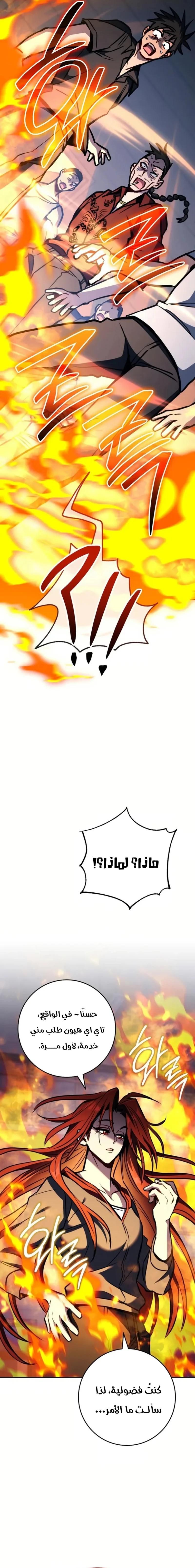 الصفحة 17