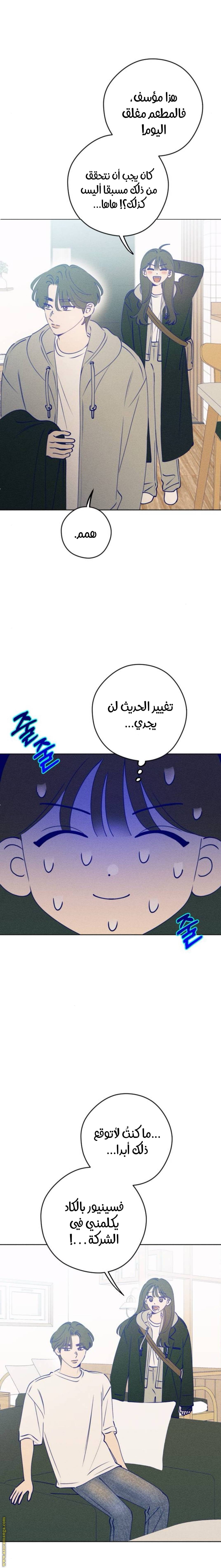 الصفحة 12