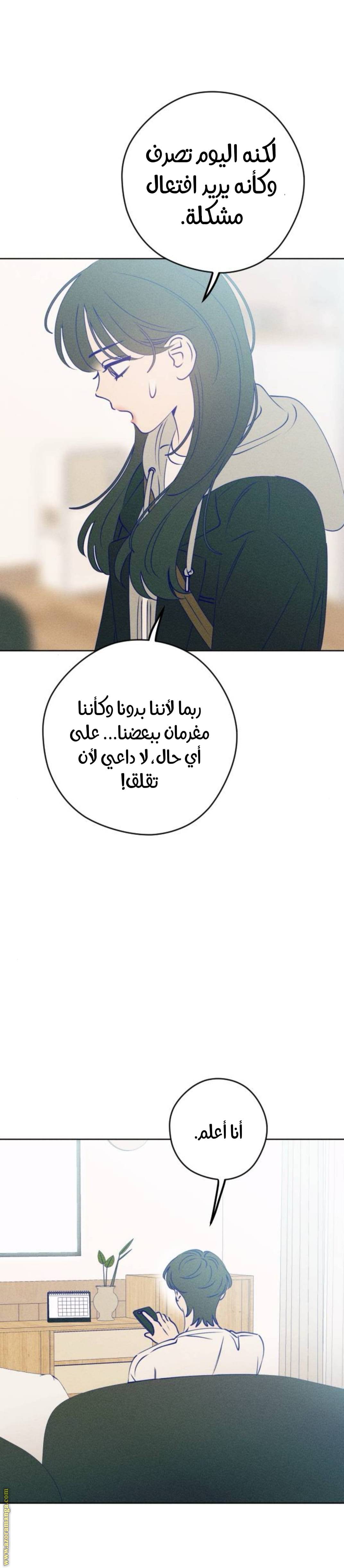 الصفحة 13