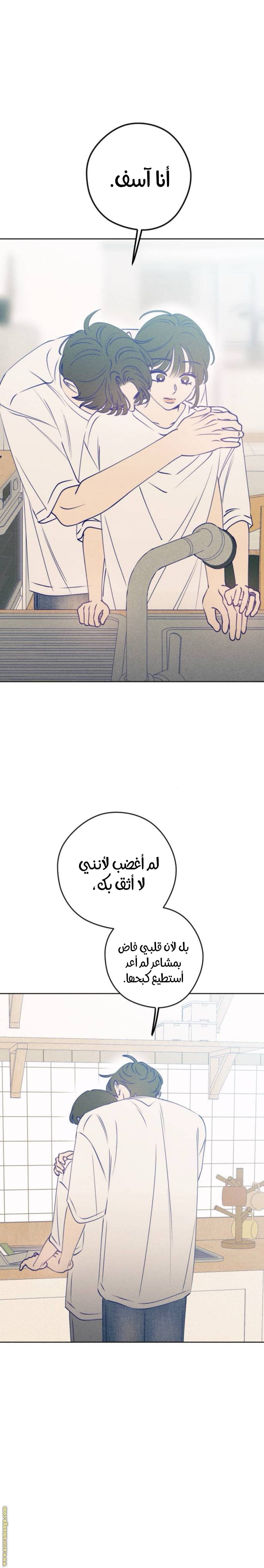 الصفحة 17