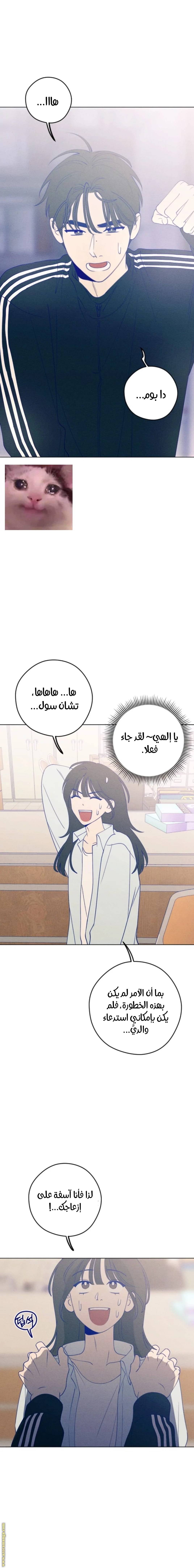 الصفحة 12