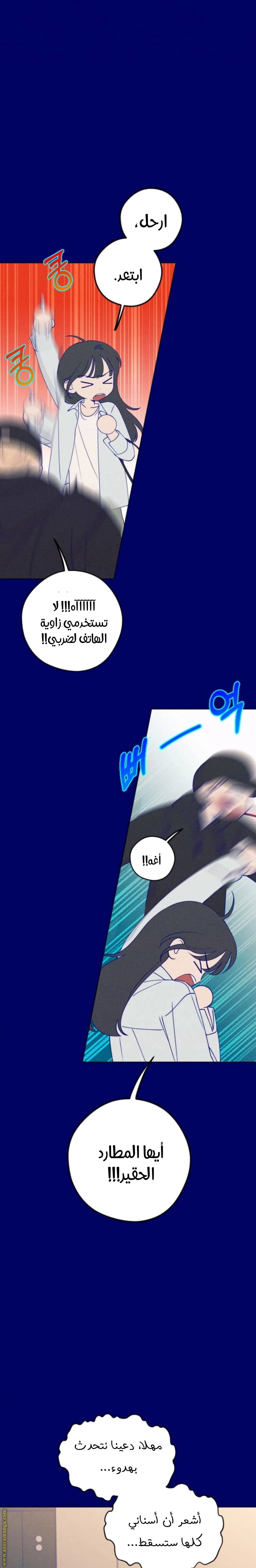 الصفحة 16
