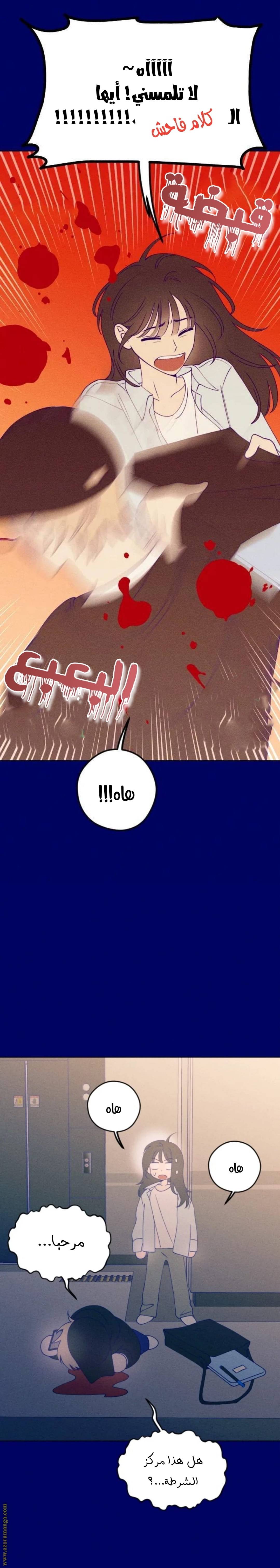 الصفحة 17