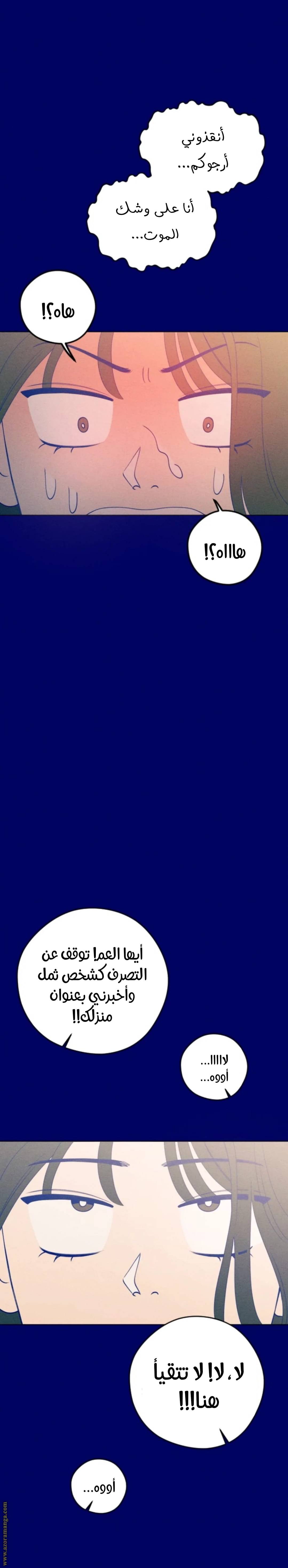 الصفحة 18