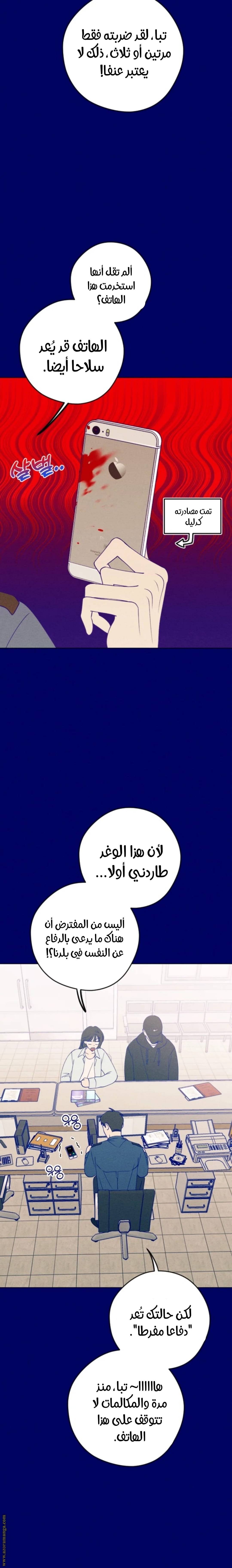 الصفحة 21