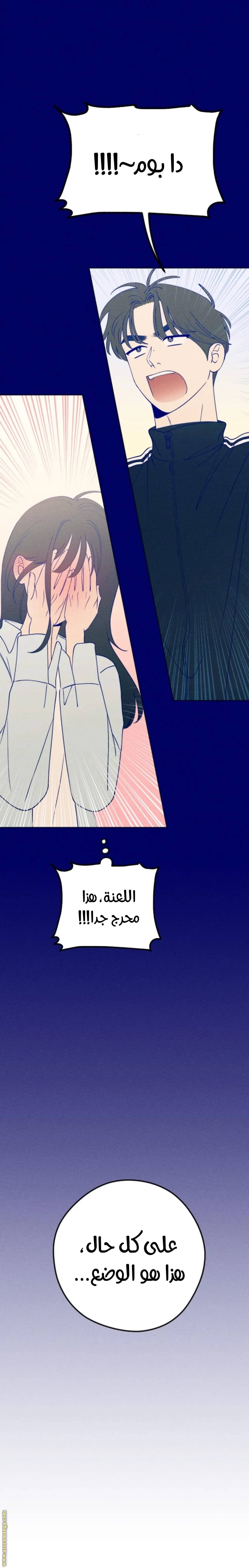 الصفحة 24