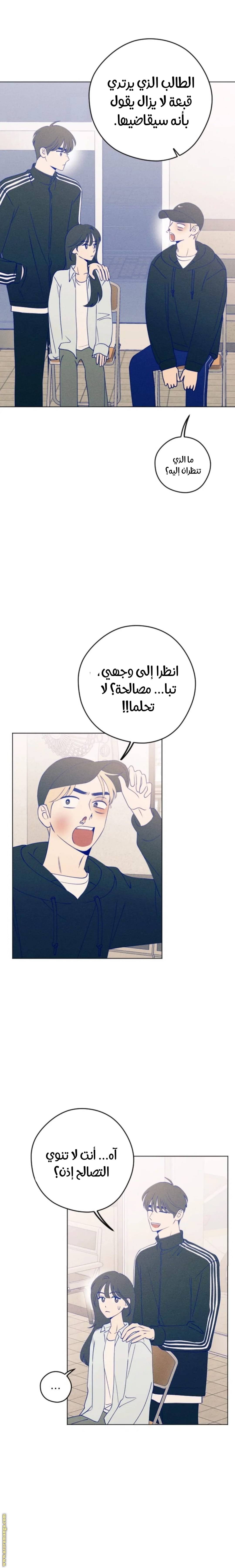 الصفحة 25