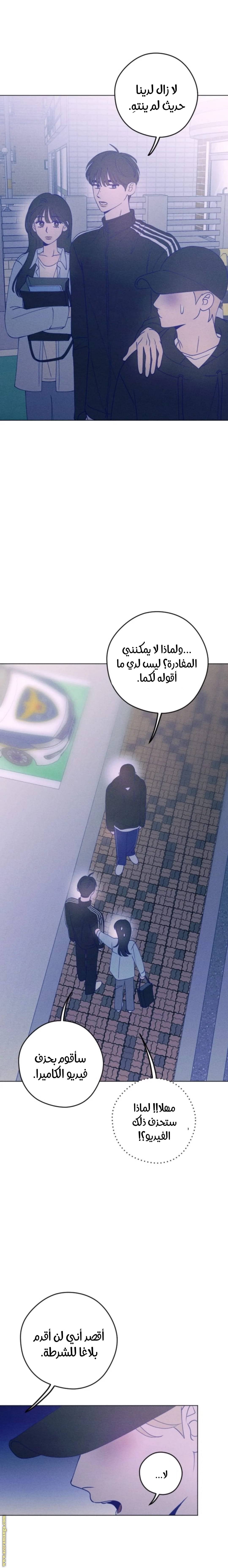 الصفحة 31