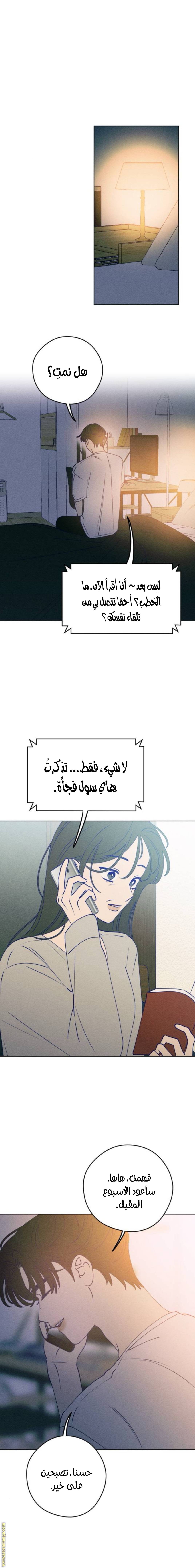 الصفحة 6