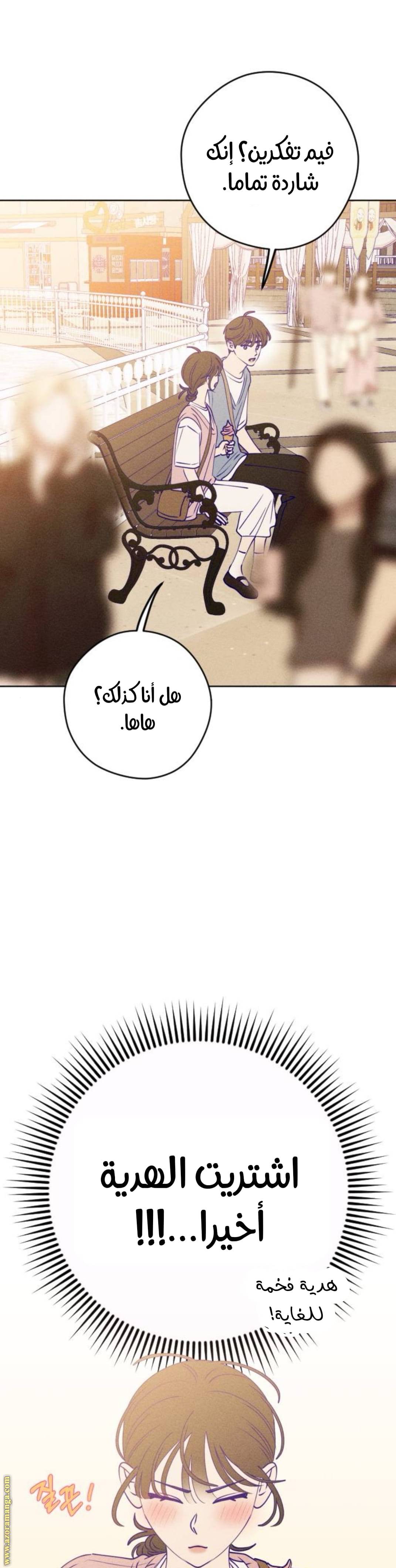 الصفحة 13