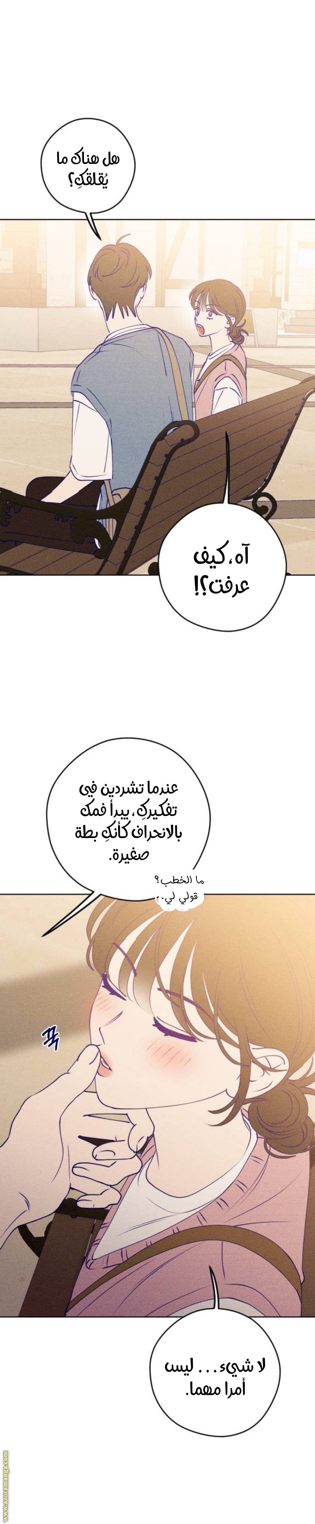 الصفحة 15