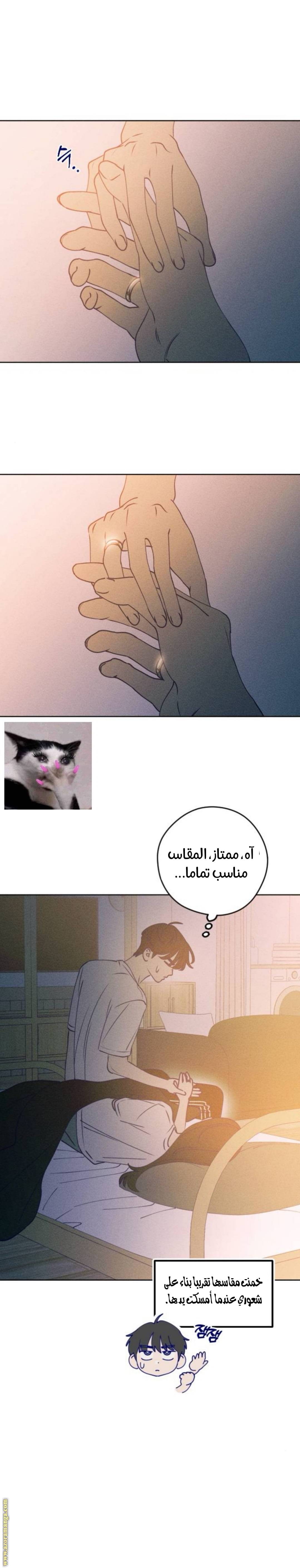 الصفحة 21