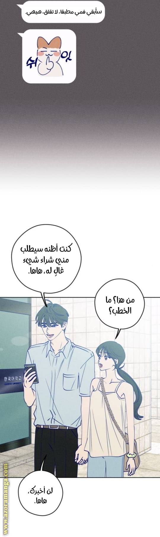 الصفحة 26