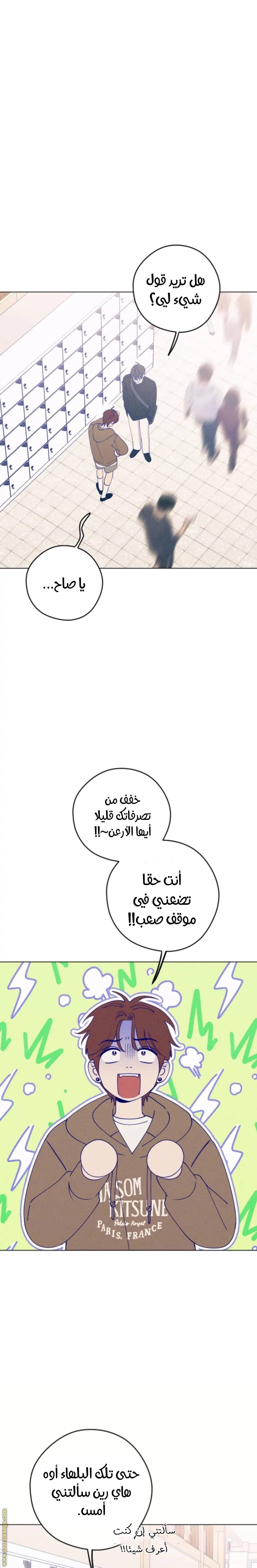 الصفحة 11