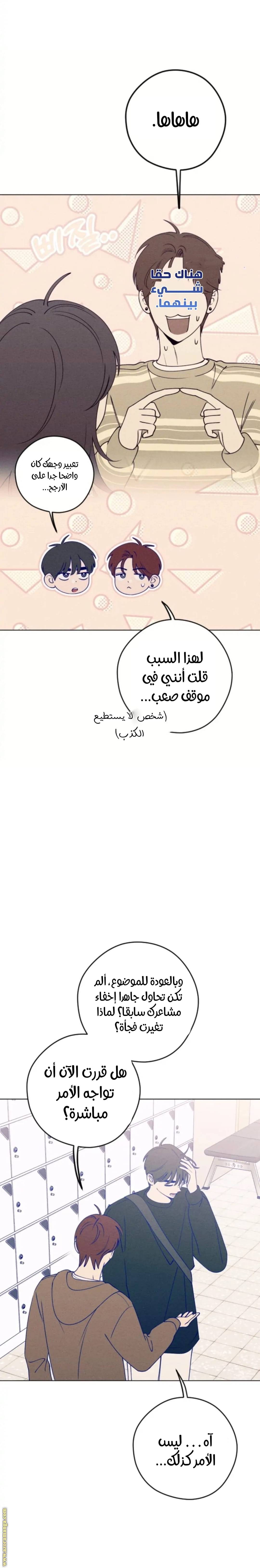 الصفحة 13
