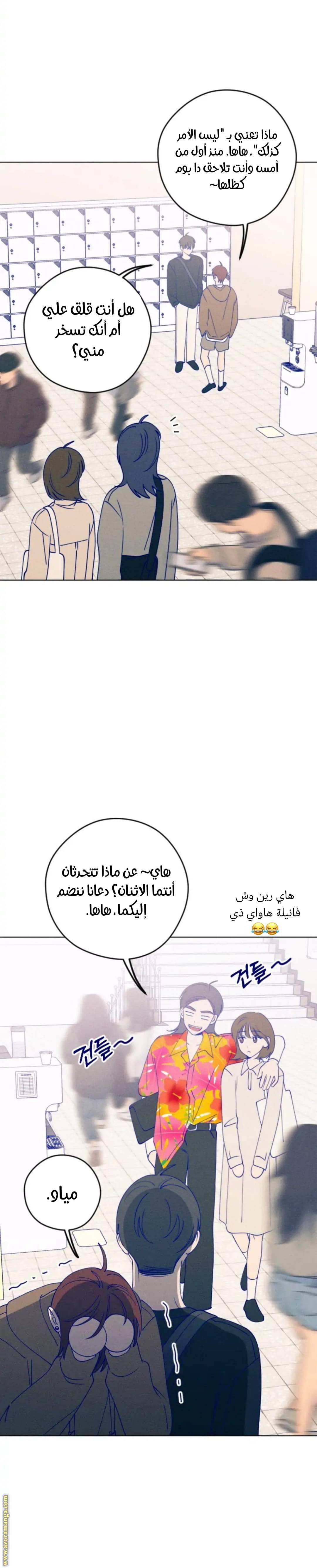 الصفحة 14