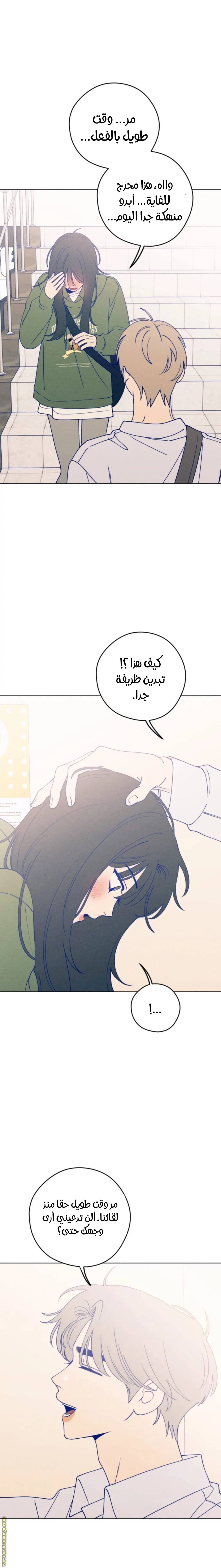 الصفحة 20