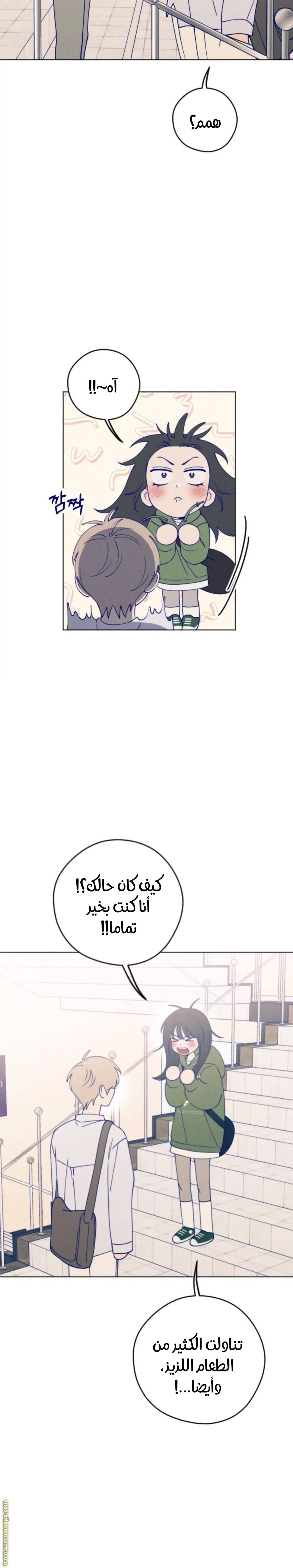 الصفحة 22