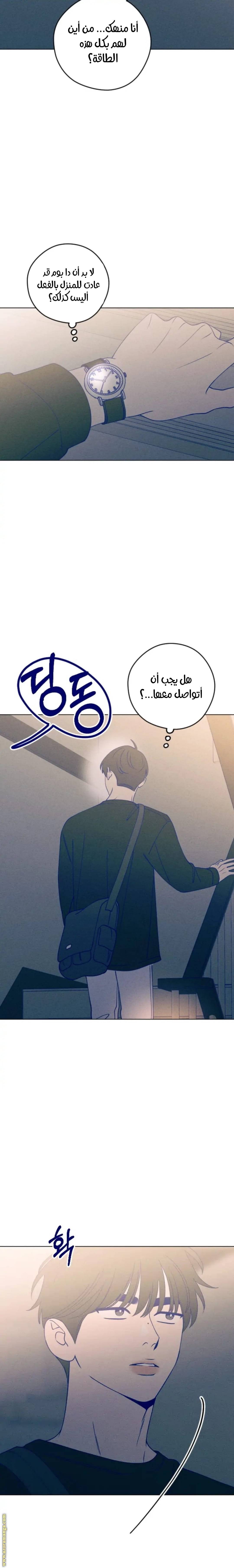 الصفحة 29