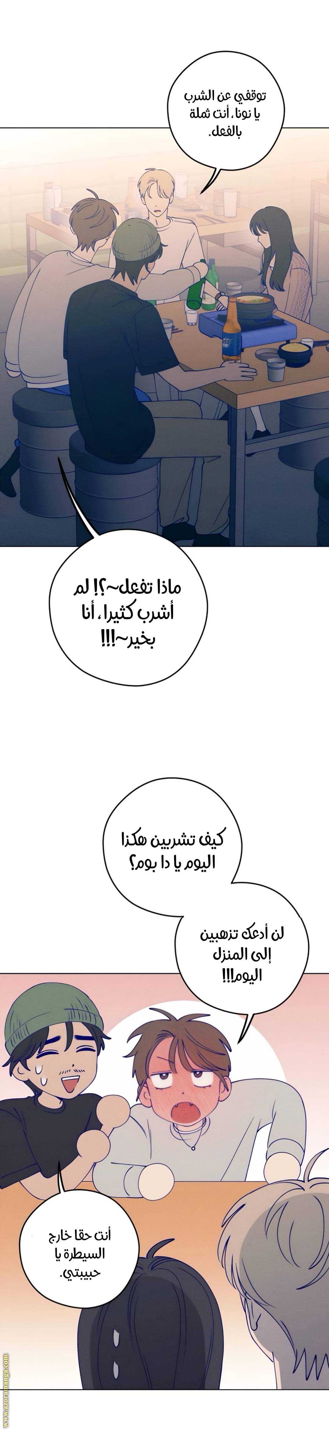 الصفحة 20