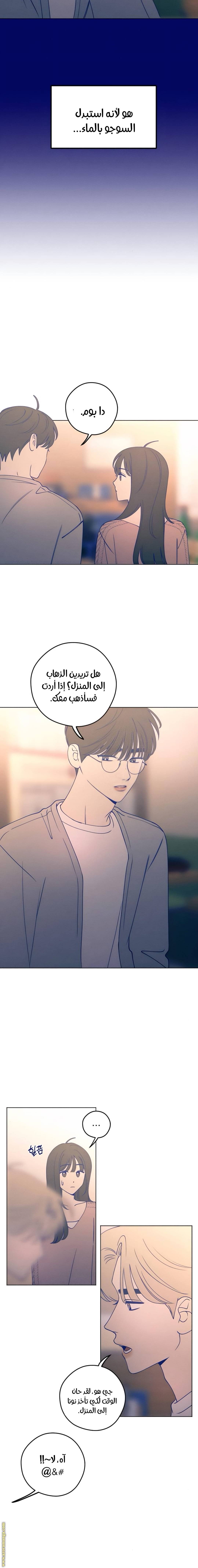 الصفحة 22