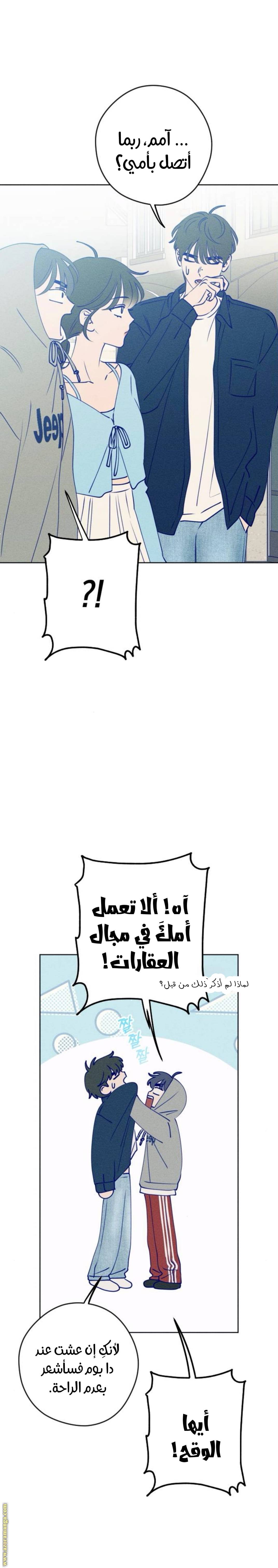 الصفحة 17