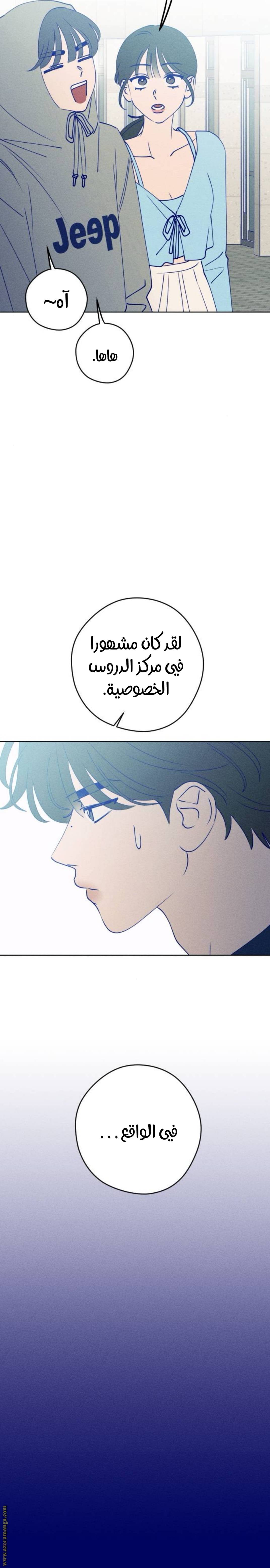 الصفحة 19