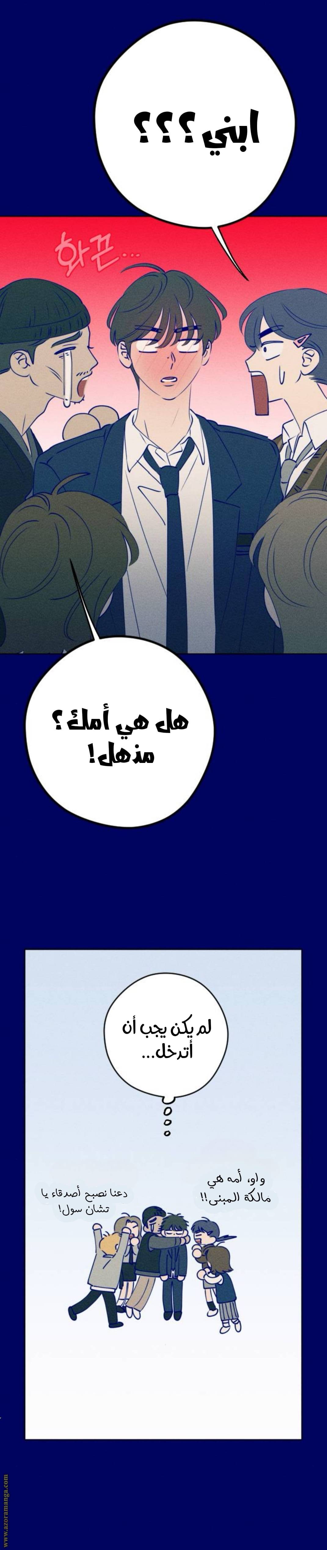 الصفحة 29