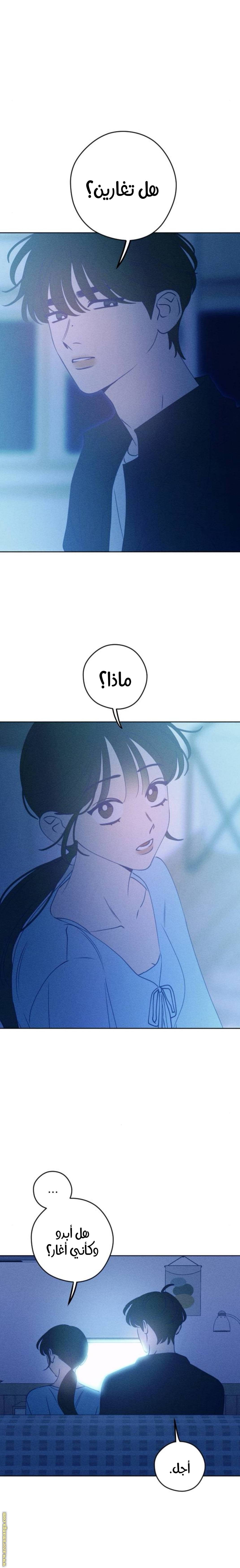 الصفحة 31