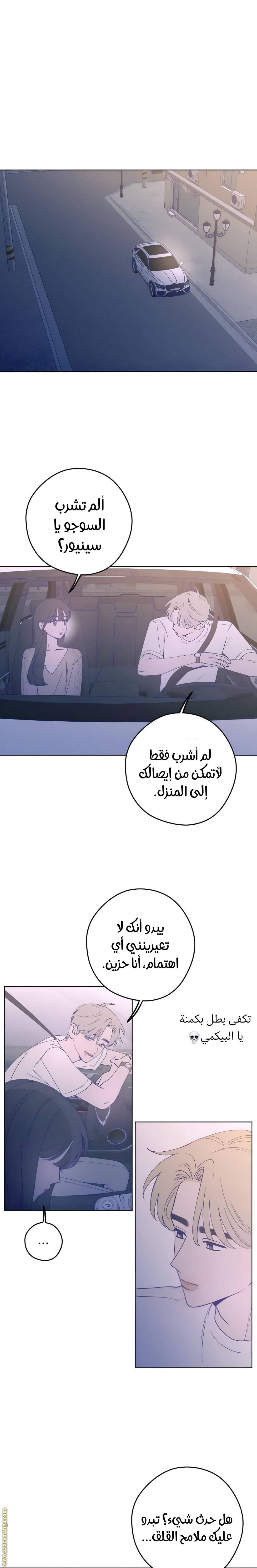 الصفحة 12