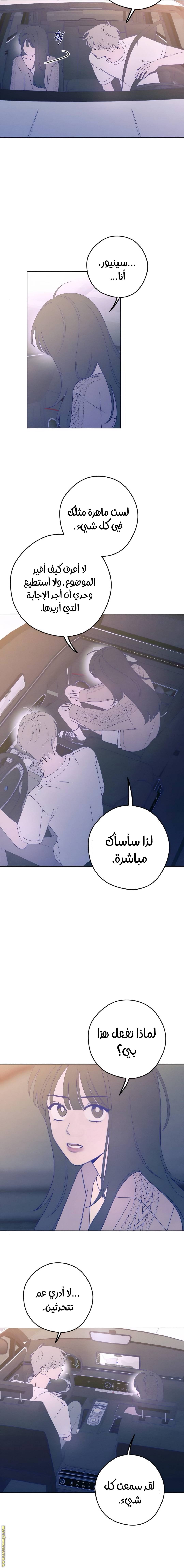 الصفحة 13