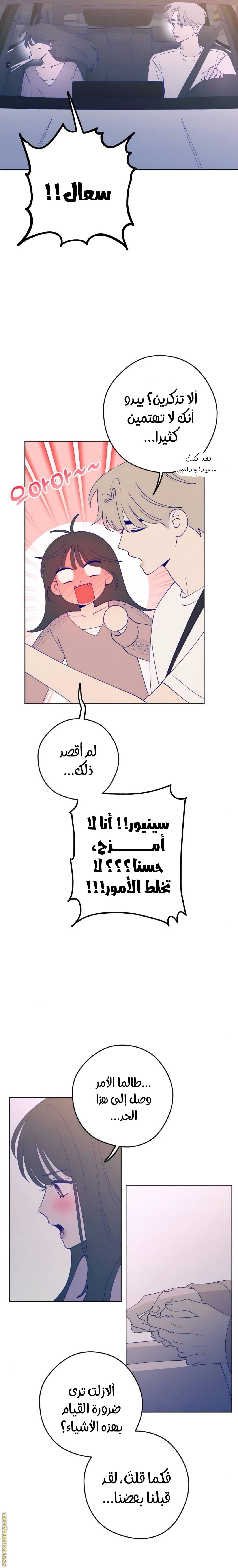 الصفحة 16