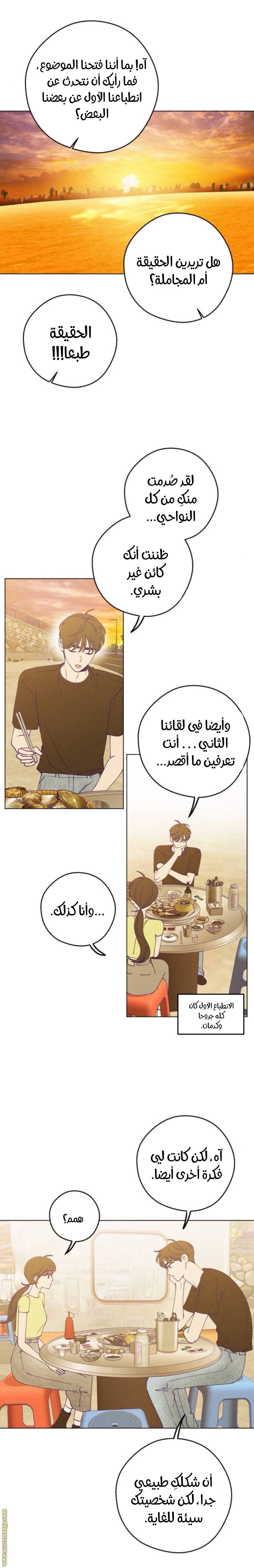 الصفحة 17