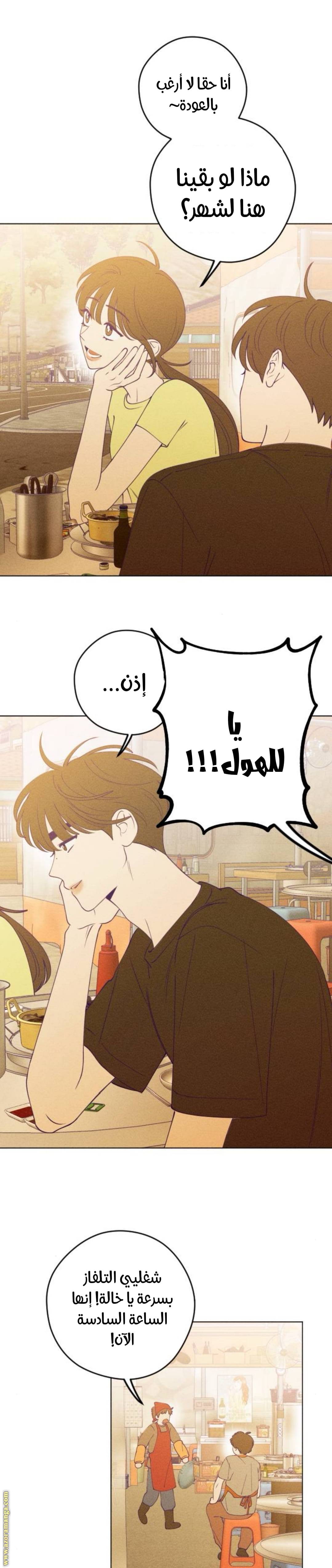 الصفحة 19