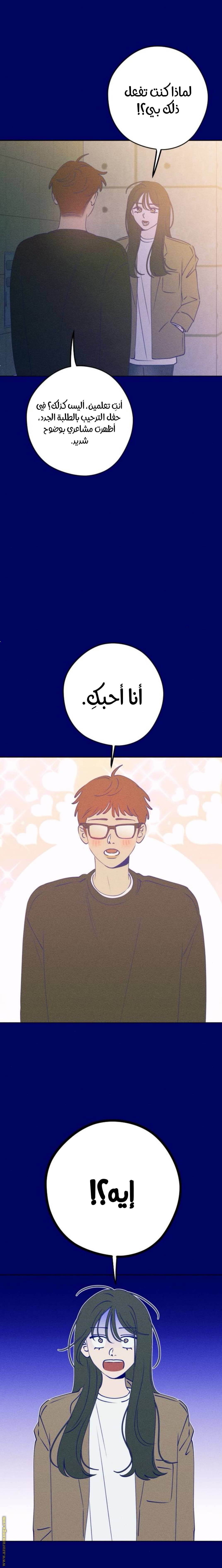 الصفحة 16