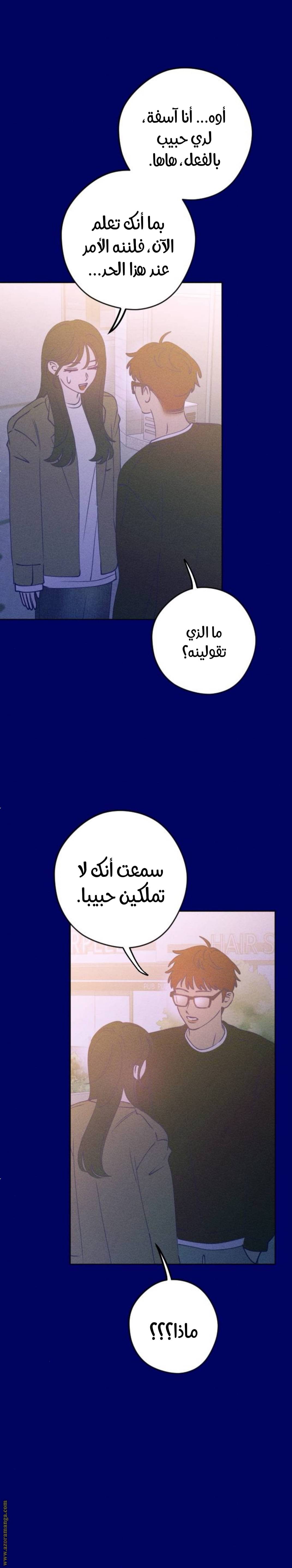 الصفحة 17