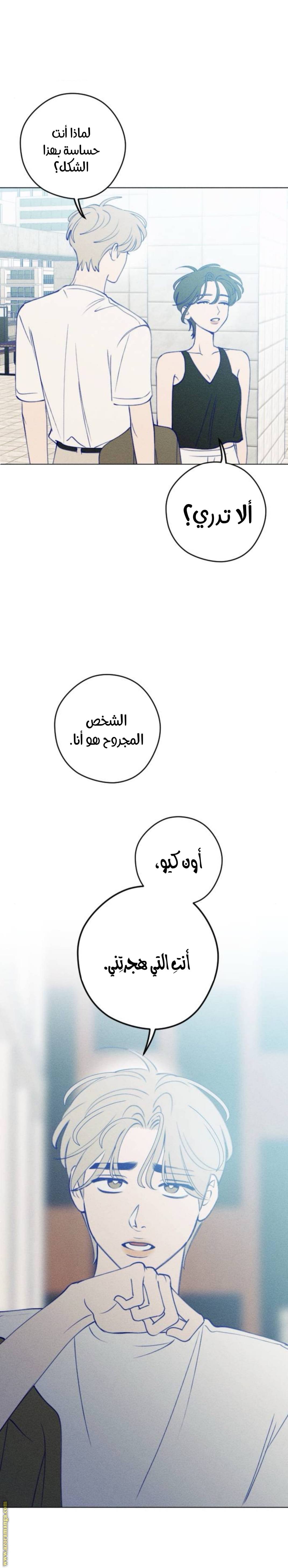 الصفحة 17