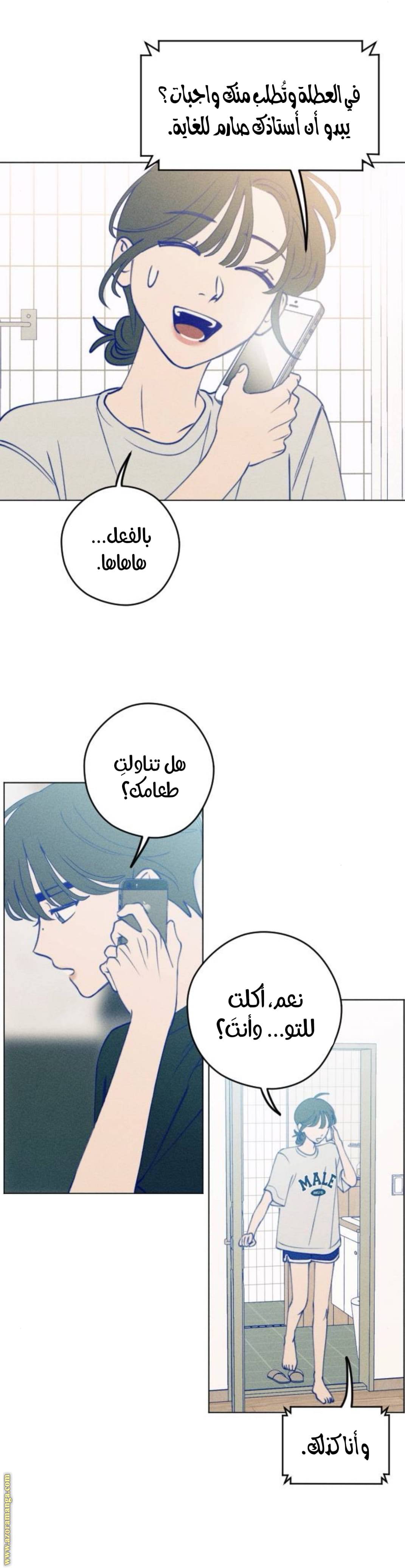 الصفحة 19